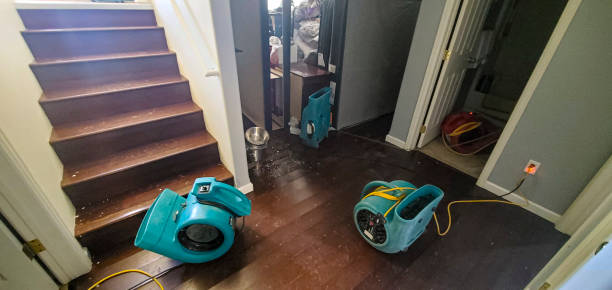 Best Flooded house restoration  in North Tonawanda, NY