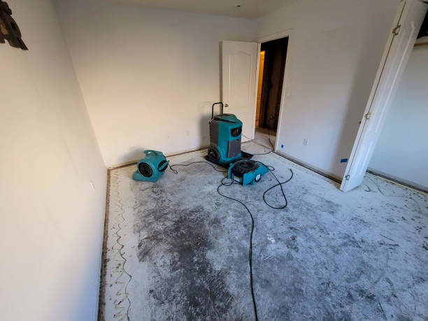 Best Professional water damage repair  in North Tonawanda, NY
