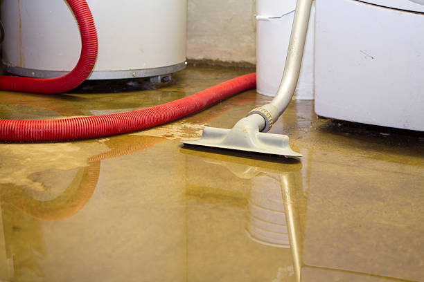 Best Basement water damage restoration  in North Tonawanda, NY