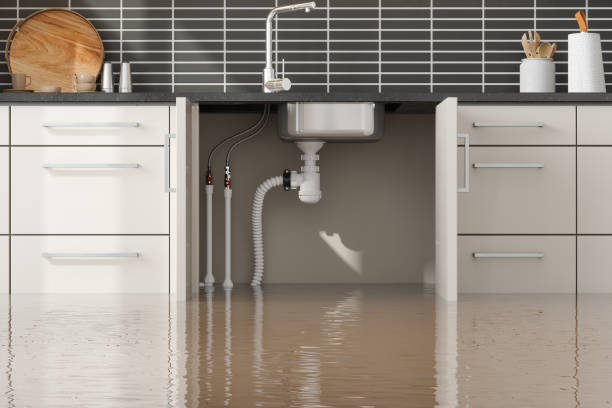 Best Flood damage cleanup  in North Tonawanda, NY